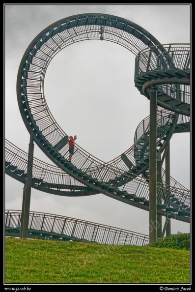 024-Tiger&Turtle.jpg