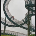 024-Tiger&Turtle