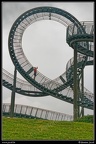 024-Tiger&amp;Turtle