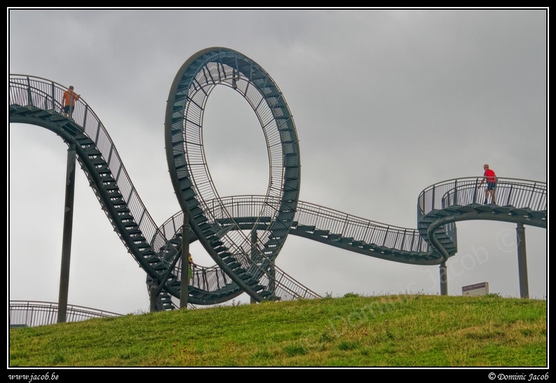 025-Tiger&Turtle.jpg