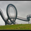 025-Tiger&amp;Turtle