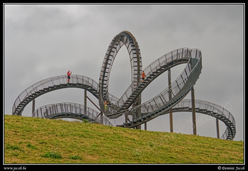 026-Tiger&Turtle.jpg