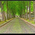 122-PèreLachaise