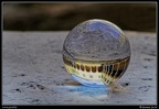 004-Venise, reflets boule