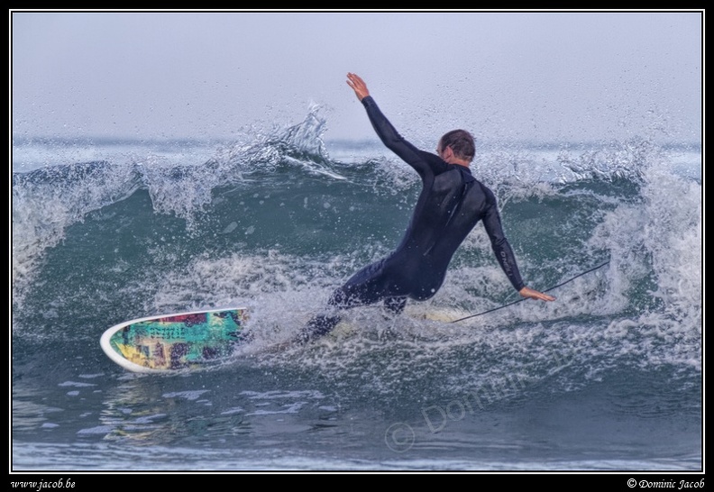 101-Surf.jpg