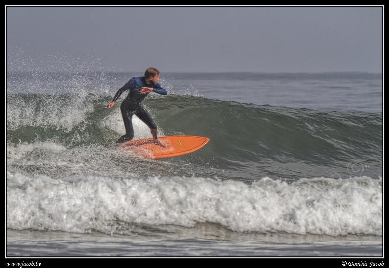 116-Surf.jpg