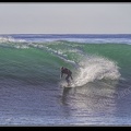 138-Surf