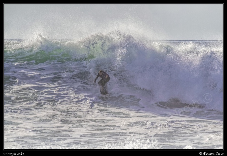139-Surf.jpg