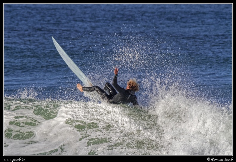 161-Surf.jpg