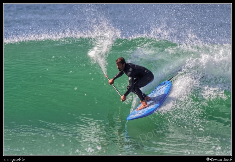 188-Paddle surf.jpg