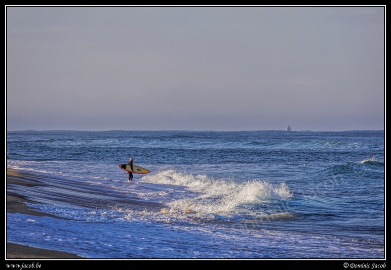 202-Surf.jpg