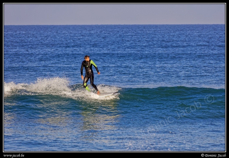 204-Surf.jpg