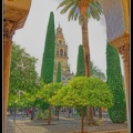 039-Cordoba