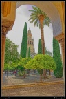 039-Cordoba