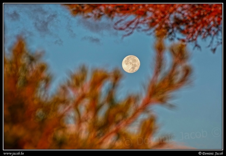1207-Lune.jpg