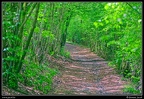 082m-Chemin de Xhurdebise