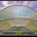 035-Guillemins