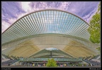 Guillemins