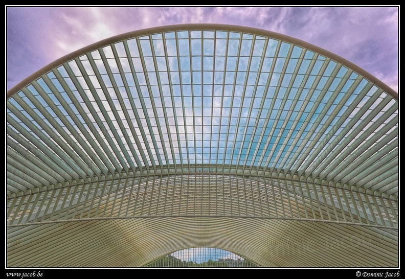 036-Guillemins