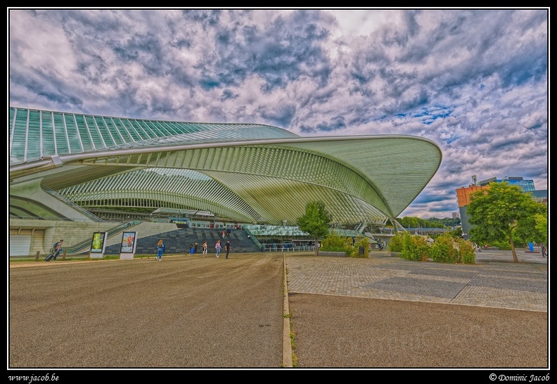 040-Guillemins