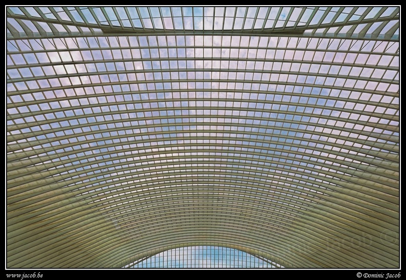 042-Guillemins.jpg