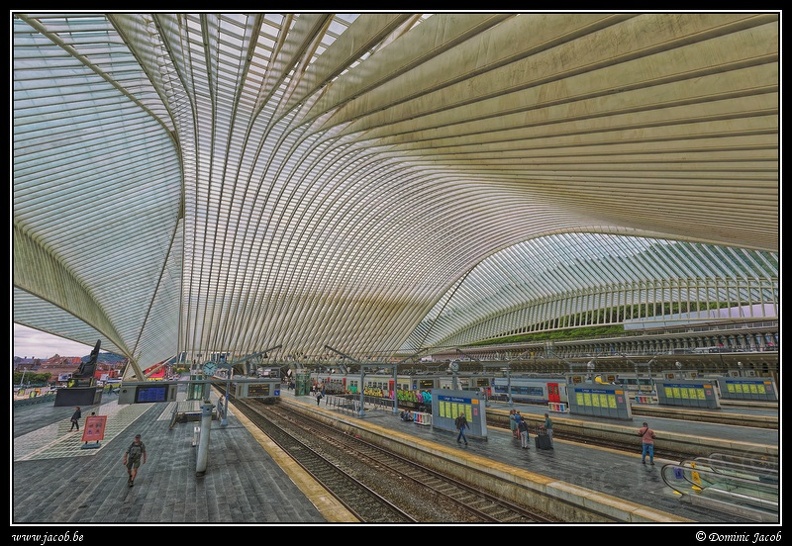 044-Guillemins