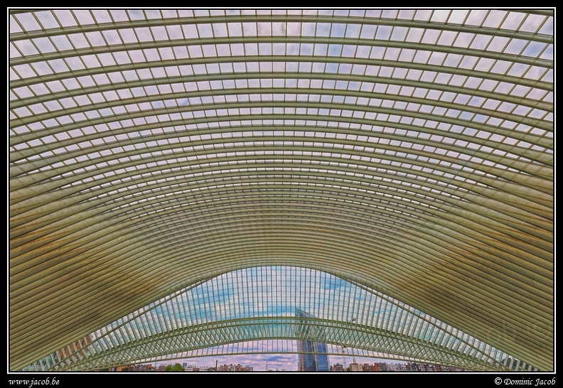 045-Guillemins