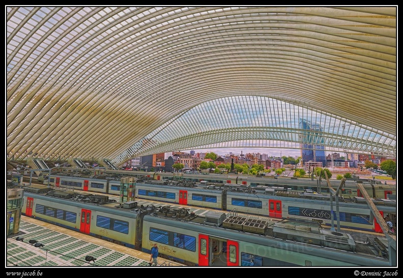 046-Guillemins