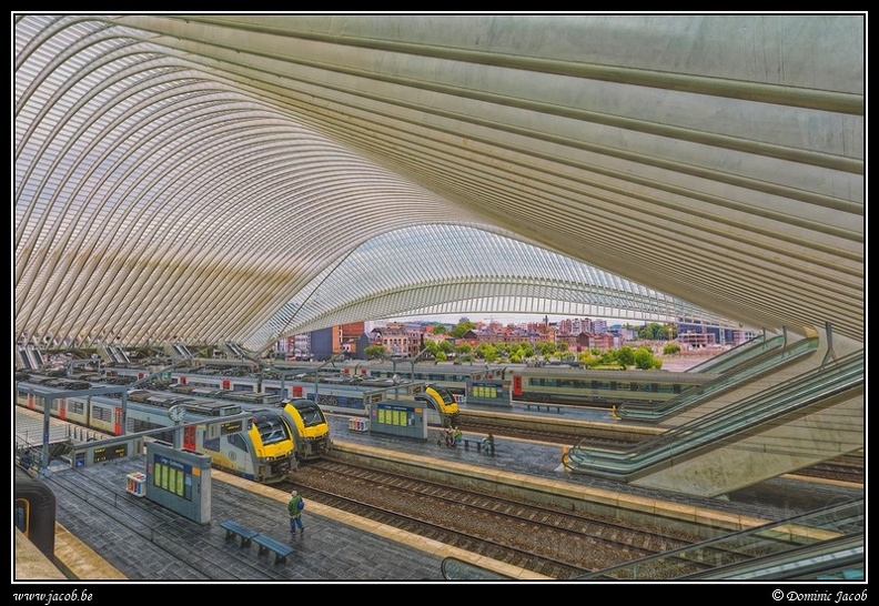 047-Guillemins