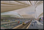 050-Guillemins