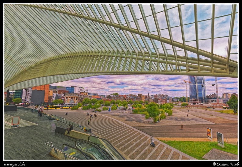 052-Guillemins