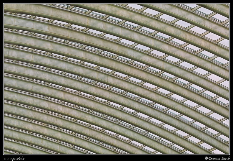 053-Guillemins.jpg