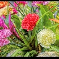032-Floralies