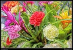 032-Floralies