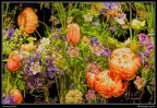 042-Floralies