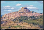 Morella