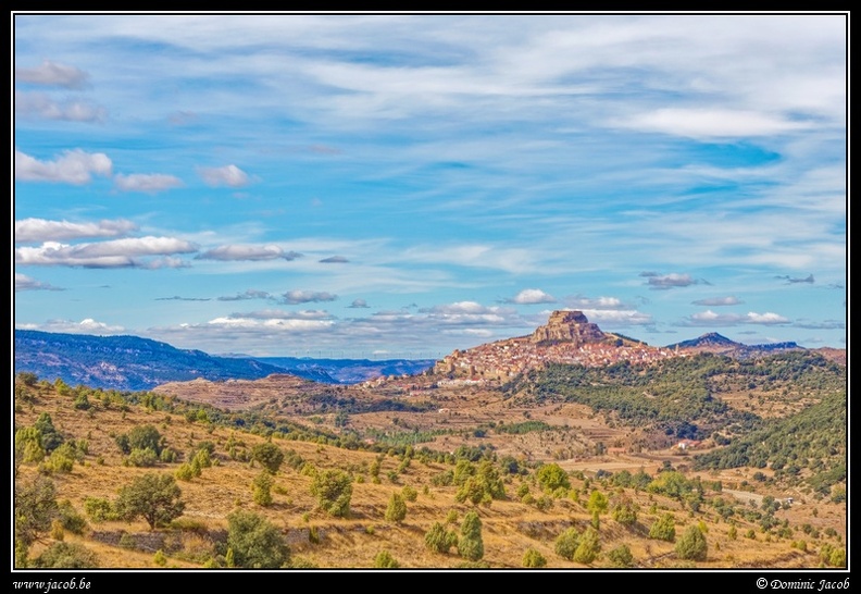 003-Morella.jpg