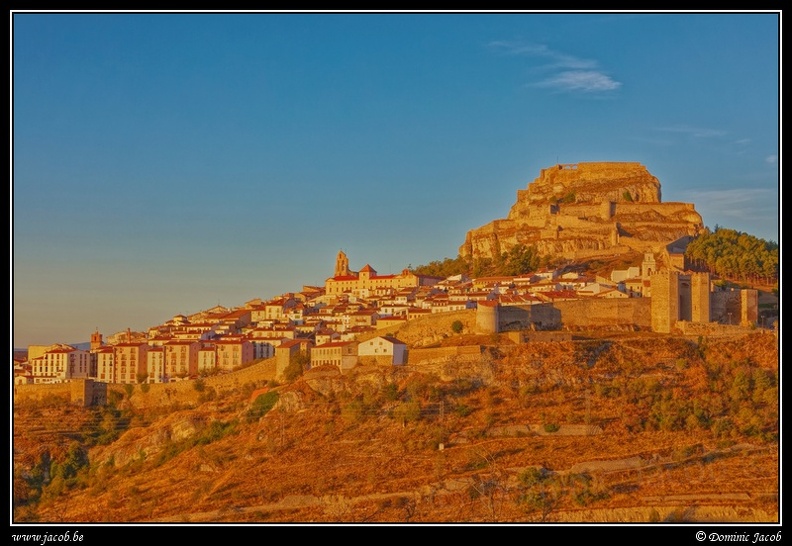 004-Morella