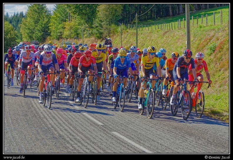 003-Tour de France.jpg