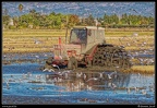 002-Tracteur rizière
