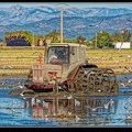 010-Tracteur rizière