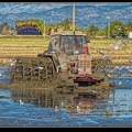 011-Tracteur rizière