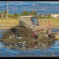 012-Tracteur rizière