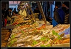 003-Mercato del Pesce