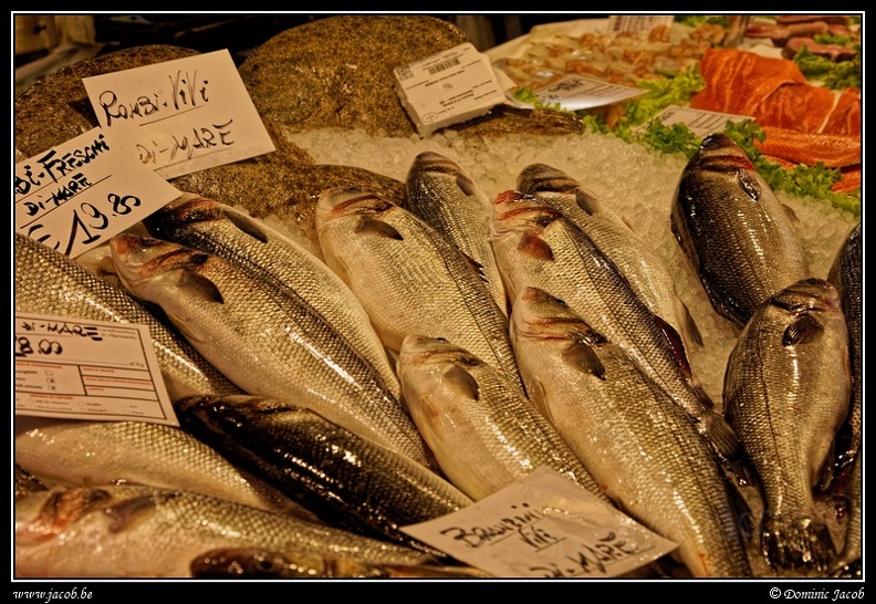 008-Mercato del Pesce.jpg