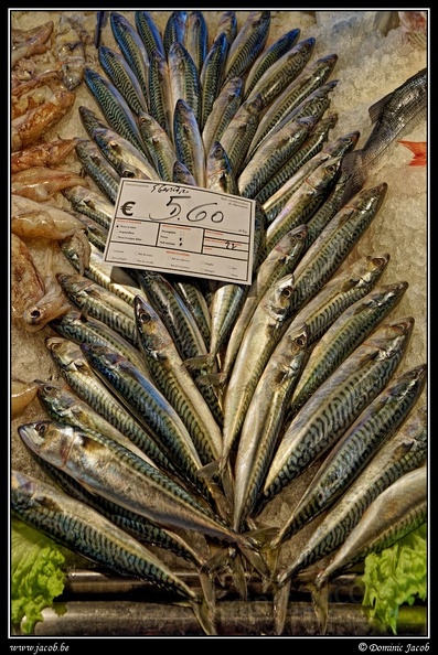 010-Mercato del Pesce