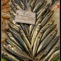 010-Mercato del Pesce