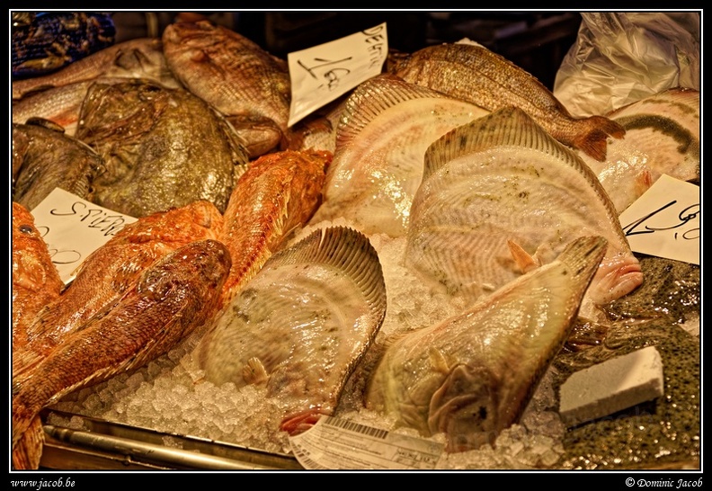 013-Mercato del Pesce