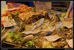 020-Mercato del Pesce