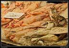 023-Mercato del Pesce